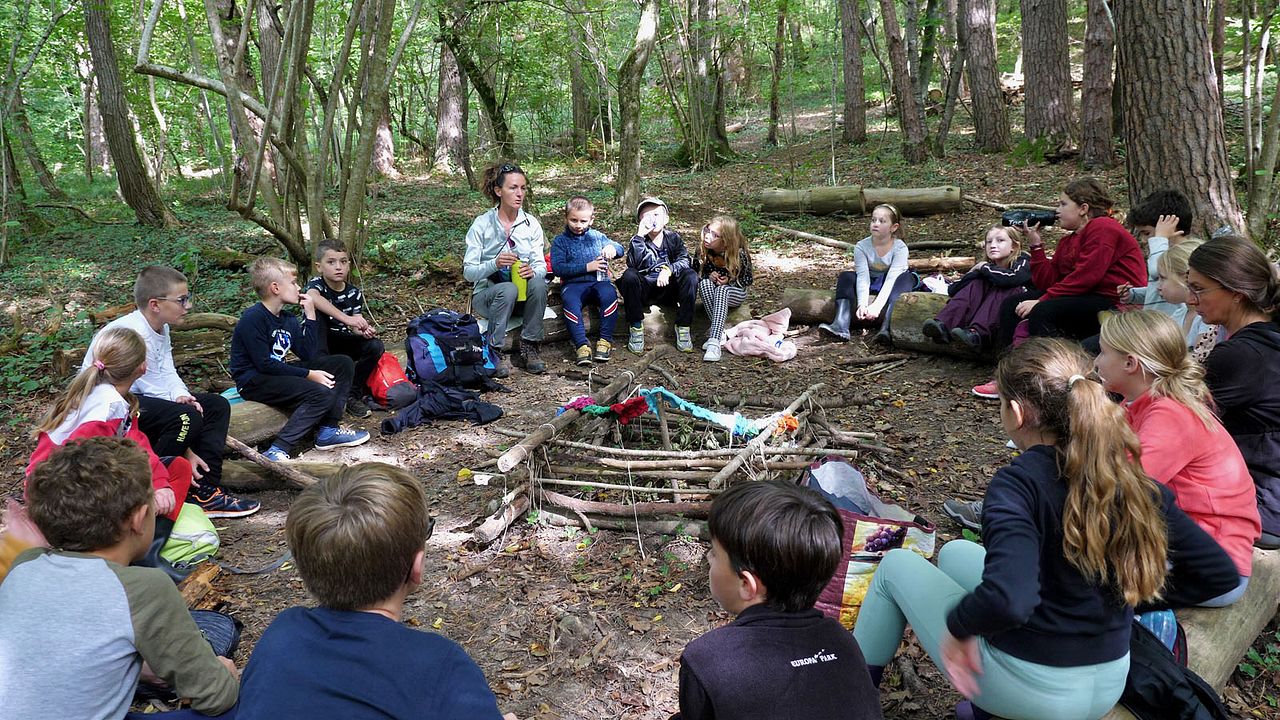 La Forêt, c’est la classe ! : Photo