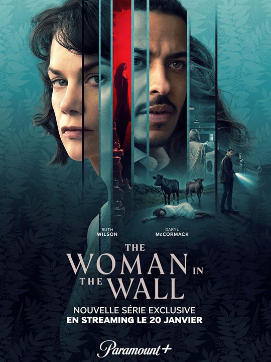 The Woman In The Wall : Affiche