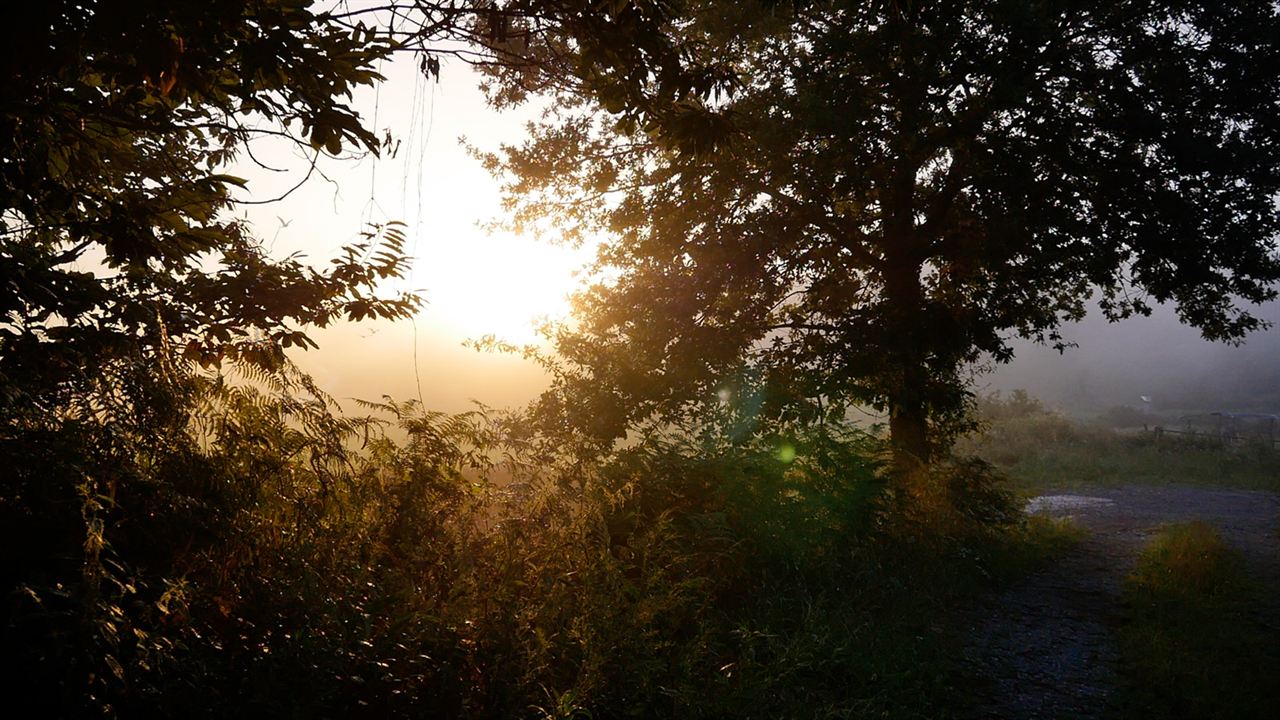 Penser à demain : Photo