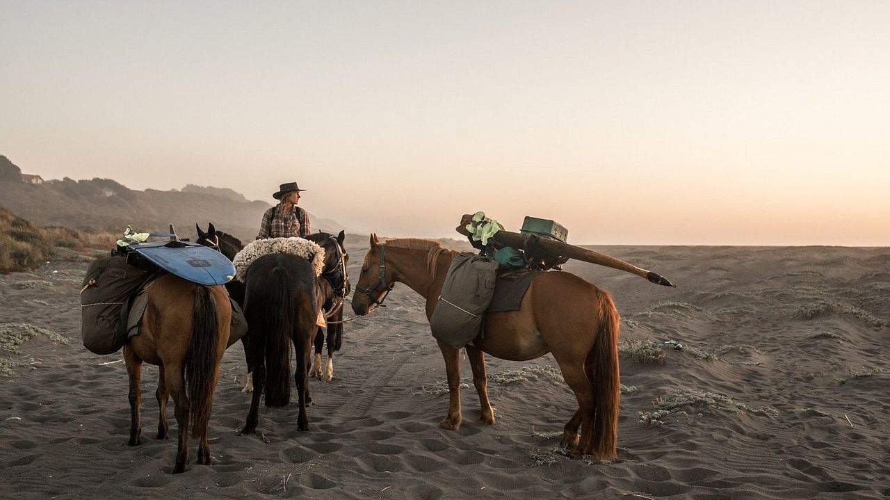 The Road to Patagonia : Photo