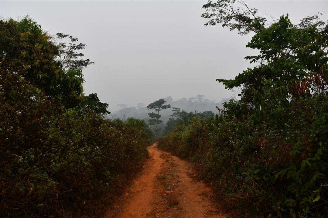 À quand l’Afrique? : Photo