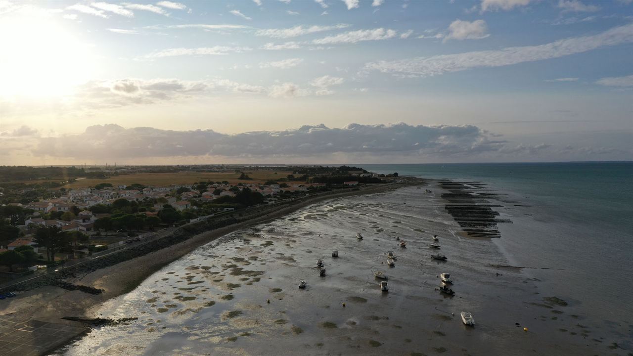 La France à vélo 2 : Photo