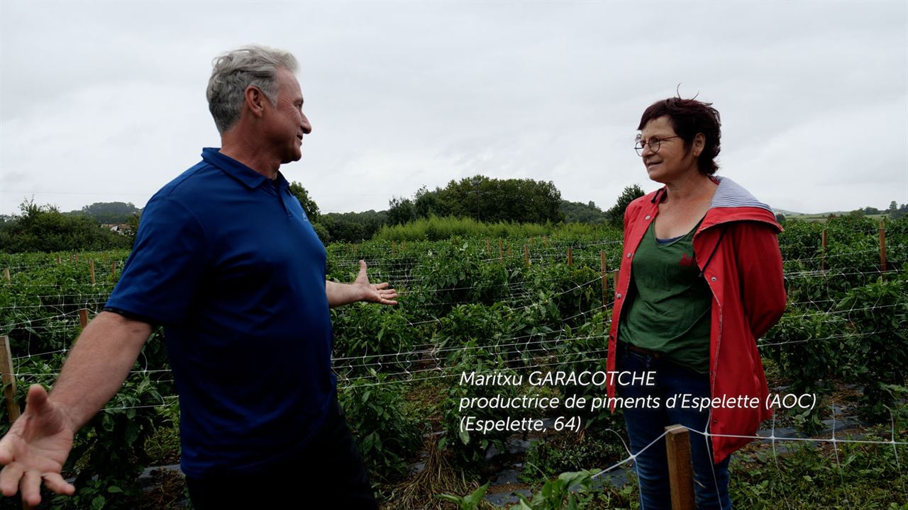 La France à vélo 2 : Photo