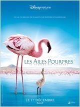 Les Ailes pourpres : le mystère des flamants