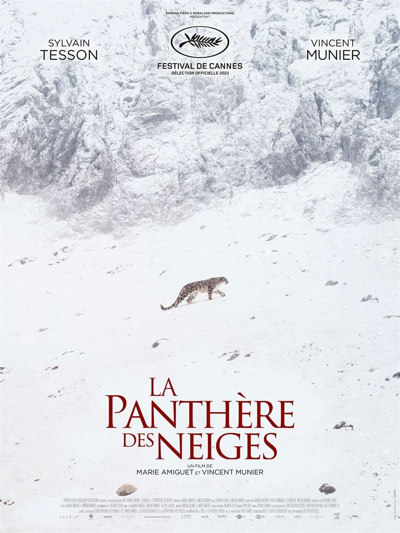 the adventure of photographer Vincent Munier in the Tibetan highlands and mountains, with his friend the writer Sylvain Tesson whom he took with him in his quest for the snow leopard. Two men, filmed by the discreet camera of Marie Amiguet , in these large natural spaces spending their time carefully observing wild animals.