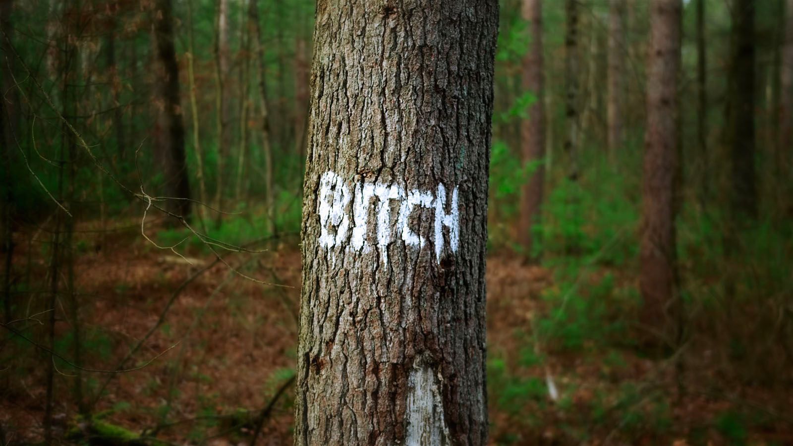 -