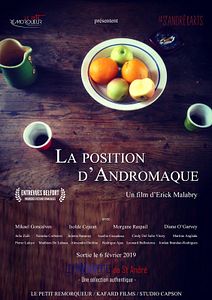 Affiche du film La Position d'Andromaque