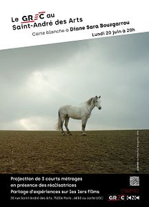 Affiche du film Le Grec au Saint-André des Arts #13