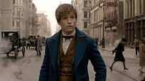 Les Animaux Fantastiques : 18 références à Harry Potter dans le film Les Animaux Fantastiques : 18 références à Harry Potter dans le film