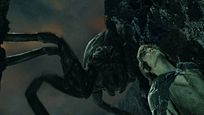 Le Seigneur des Anneaux : à quoi ressemble la véritable araignée qui a inspiré le look d'Arachne ? Le Seigneur des Anneaux : à quoi ressemble la véritable araignée qui a inspiré le look d'Arachne ?