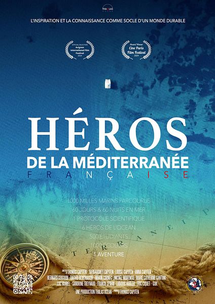 Affiche du film Le héros de la famille