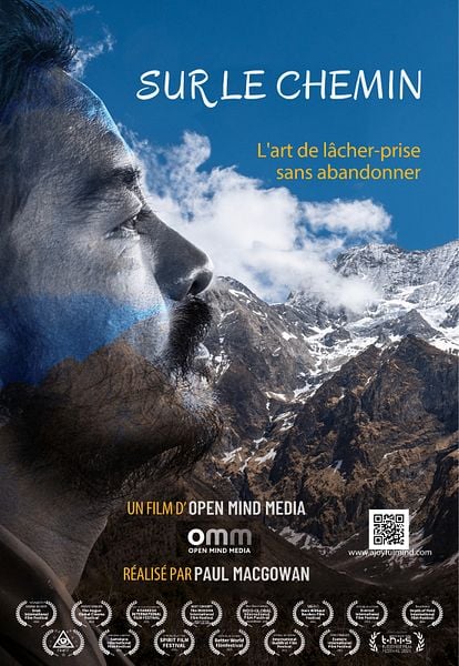 Affiche du film Found Wandering Lost