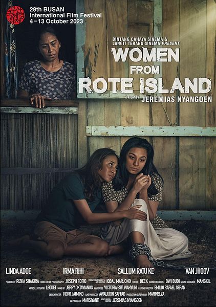 Affiche du film Les femmes de l’île de rote