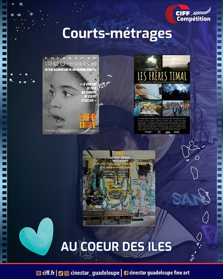 Affiche du film The Lost Bus - Au coeur des flammes