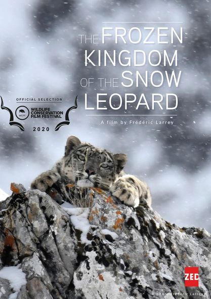 Affiche du film Le royaume glacé de la panthère des neiges