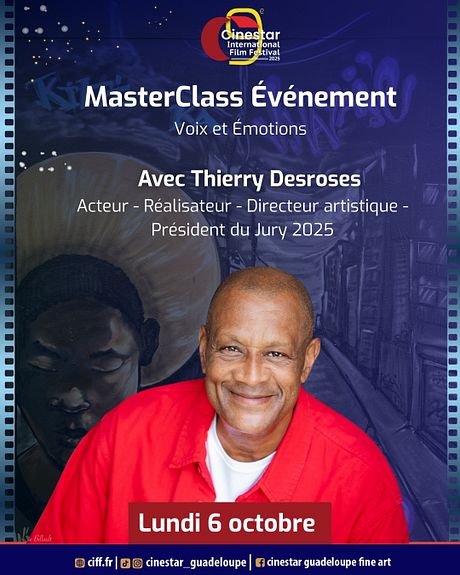 Affiche du film Masterclass Acting avec Thierry Desroses