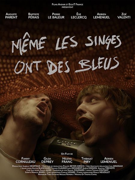 Affiche du film Même les singes ont des bleus