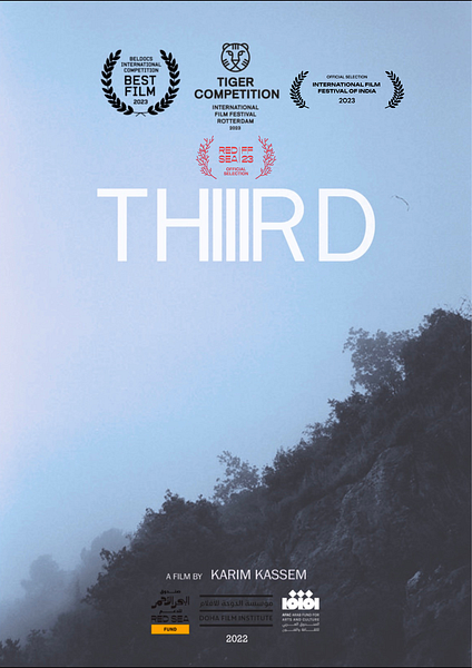 Affiche du film Thiiird