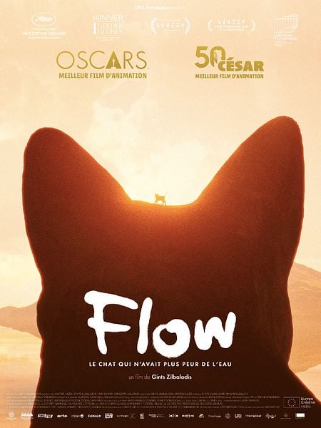 Flow, le chat qui n’avait plus peur de l’eau