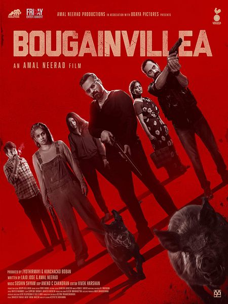 Affiche du film Bougainvillea