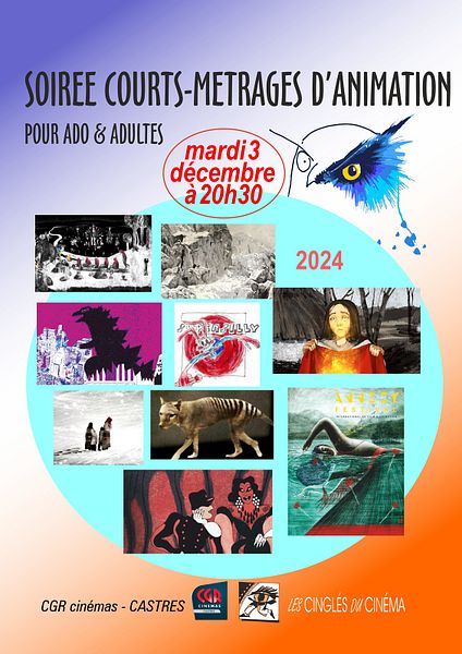 Affiche du film Soirée Courts métrages d’animation