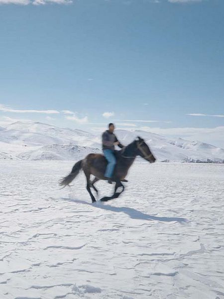 Affiche du film 5 dreamers and a horse