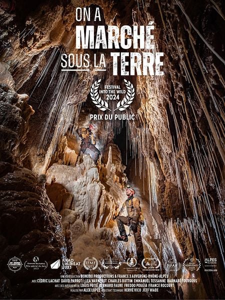 Affiche du film Menace toxique