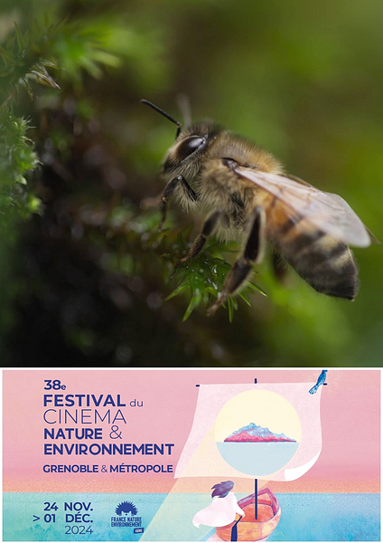 Affiche du film Vivre Ensemble : S’inspirer du vivant – Festival du Cinéma Nature et Environnement  2024
