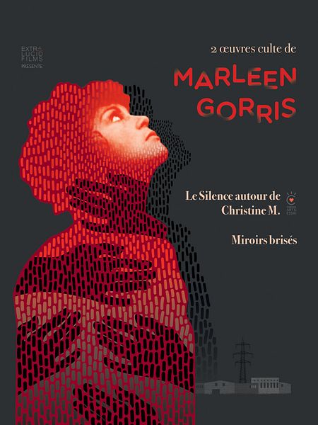 Affiche du film Miroirs brisés