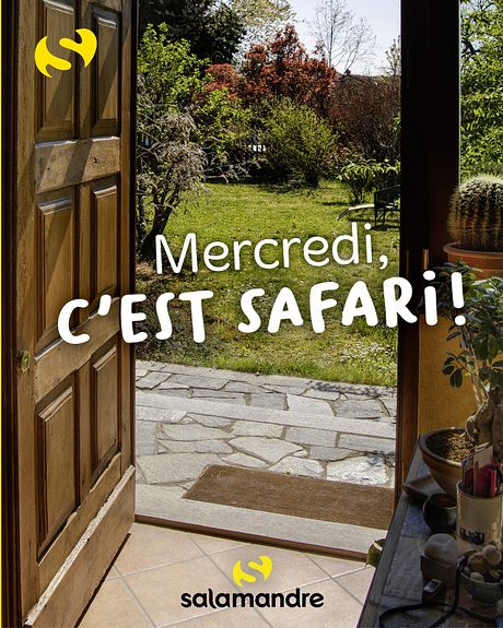 Affiche du film Mercredi, c’est safari