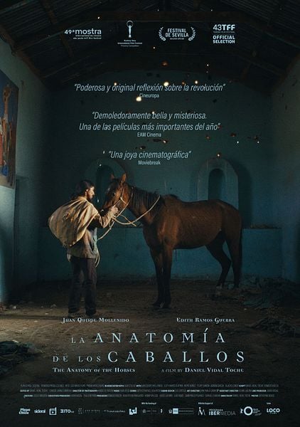 Affiche du film The Anatomy of the Horses