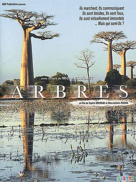 Affiche du film Arbres