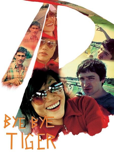 Affiche du film Bye Bye Tiger