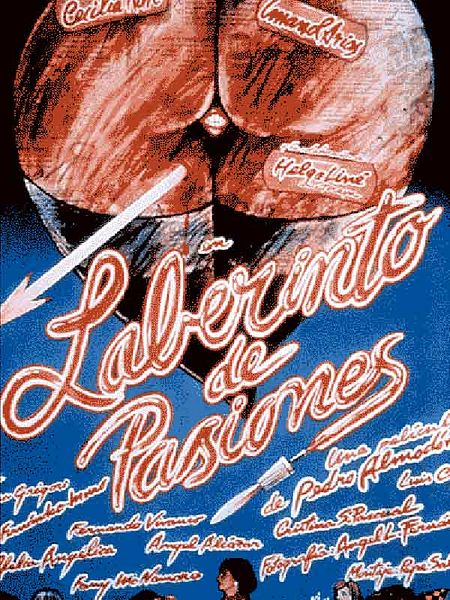 Affiche du film Le labyrinthe des passions