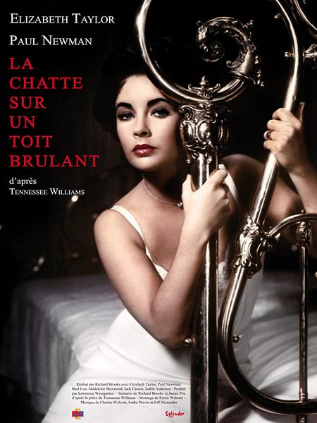 Affiche du film La Chatte sur un toit brûlant