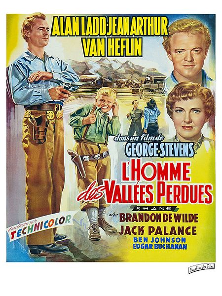 Affiche du film L'Homme des vallées perdues