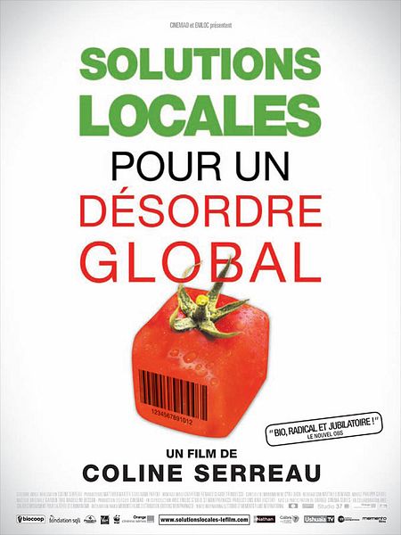 Affiche du film Solutions locales pour un désordre global