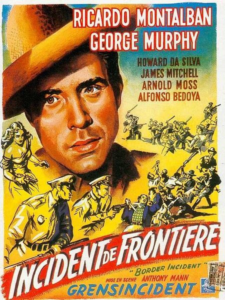 Affiche du film Incident de frontière