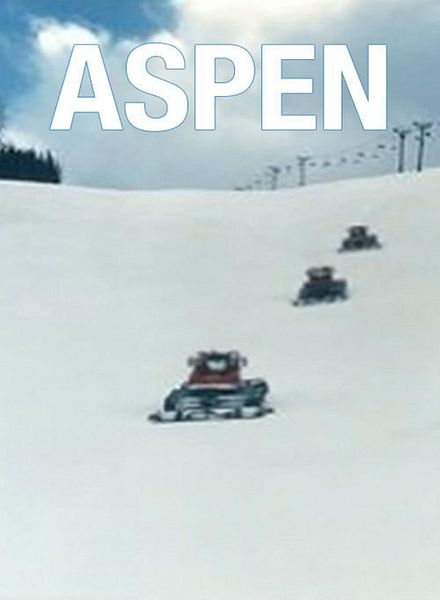 Affiche du film Aspen