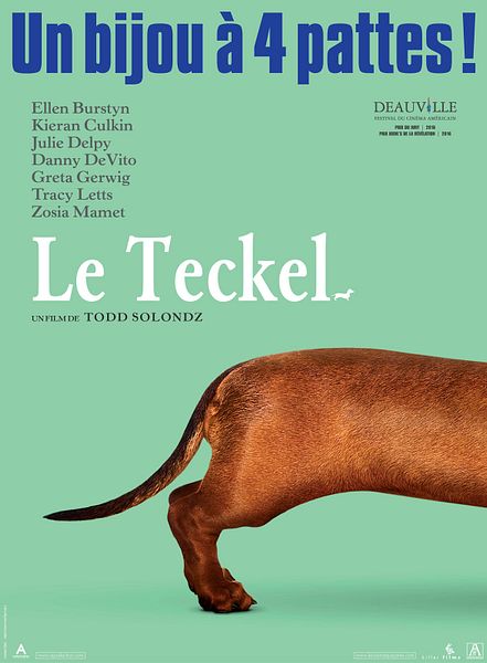 Affiche du film Le teckel