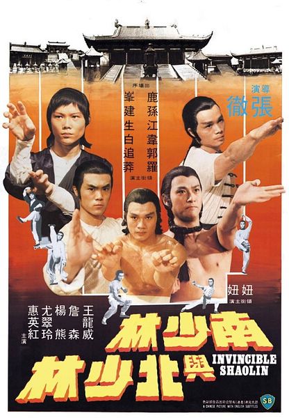 Affiche du film La Fureur de shaolin