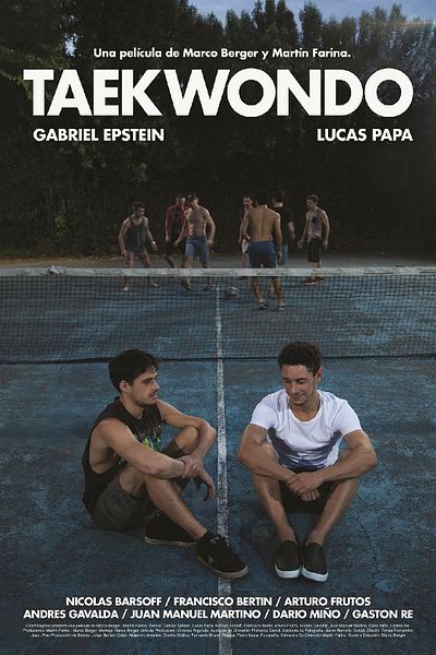 Affiche du film Taekwondo