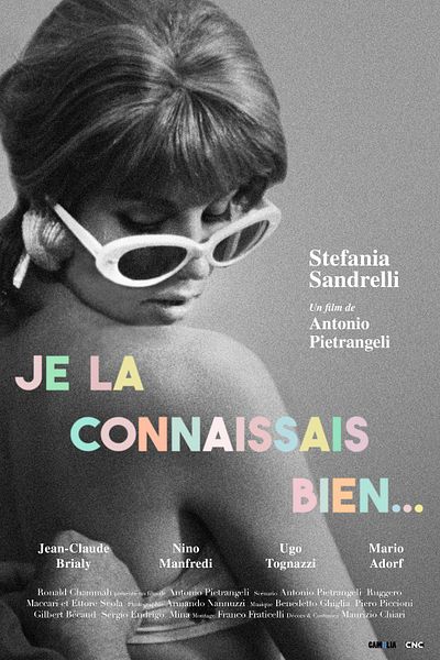 Affiche du film Je la connaissais bien...