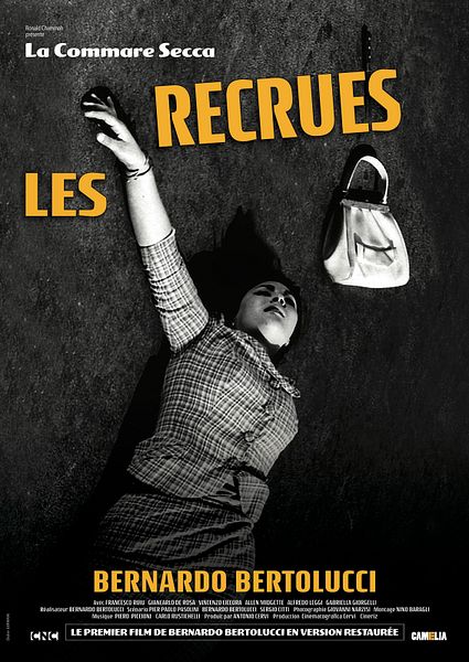 Affiche du film Les Recrues