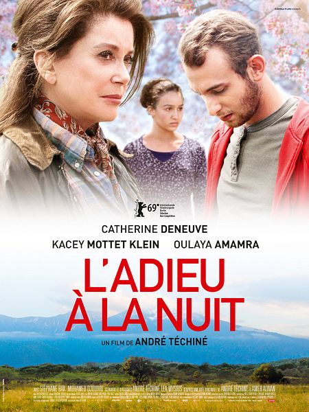Affiche du film L'Adieu à la nuit