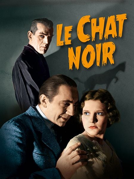 Affiche du film Le Chat noir