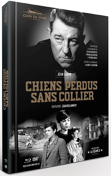Affiche du film Chiens perdus sans collier