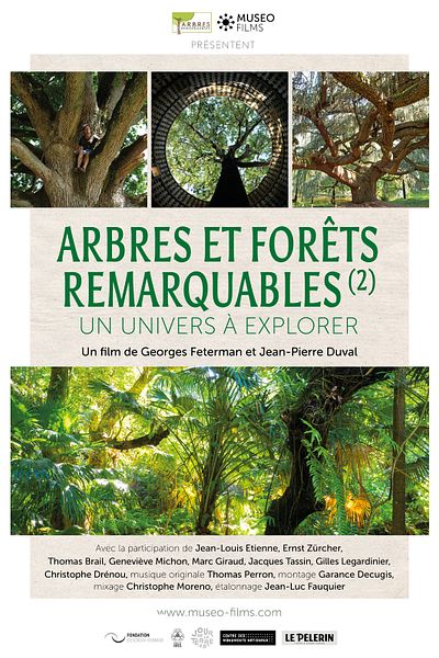 Affiche du film Arbres et forêts remarquables, un univers à explorer