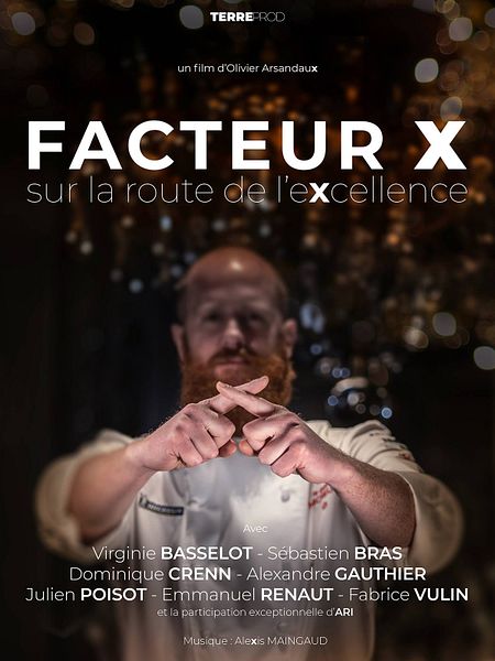 Affiche du film Facteur X