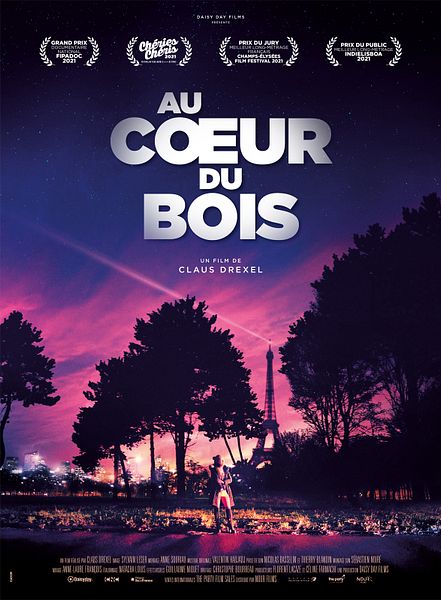 Affiche du film Au coeur du bois
